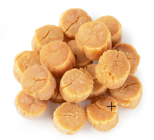 日本北海道幹扇貝